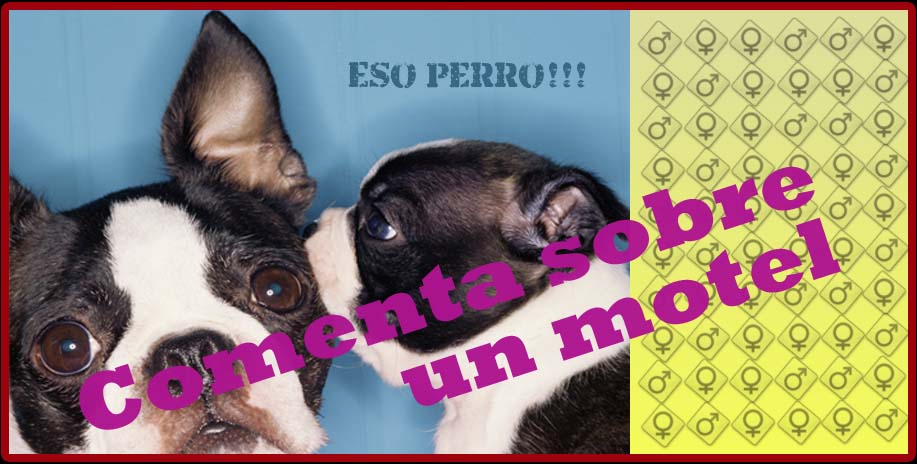 Comenta sobre un motel